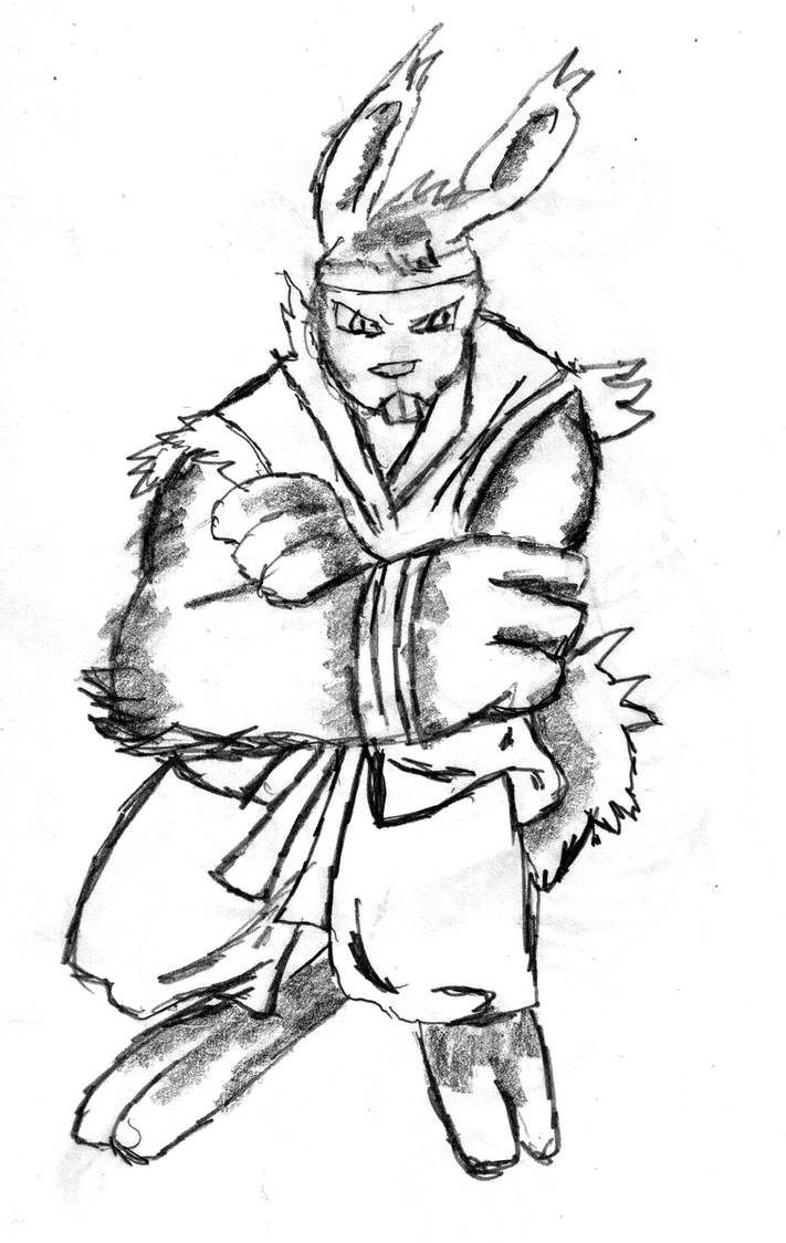 Martial arts Rabbit by Buddhadragon on DeviantArt