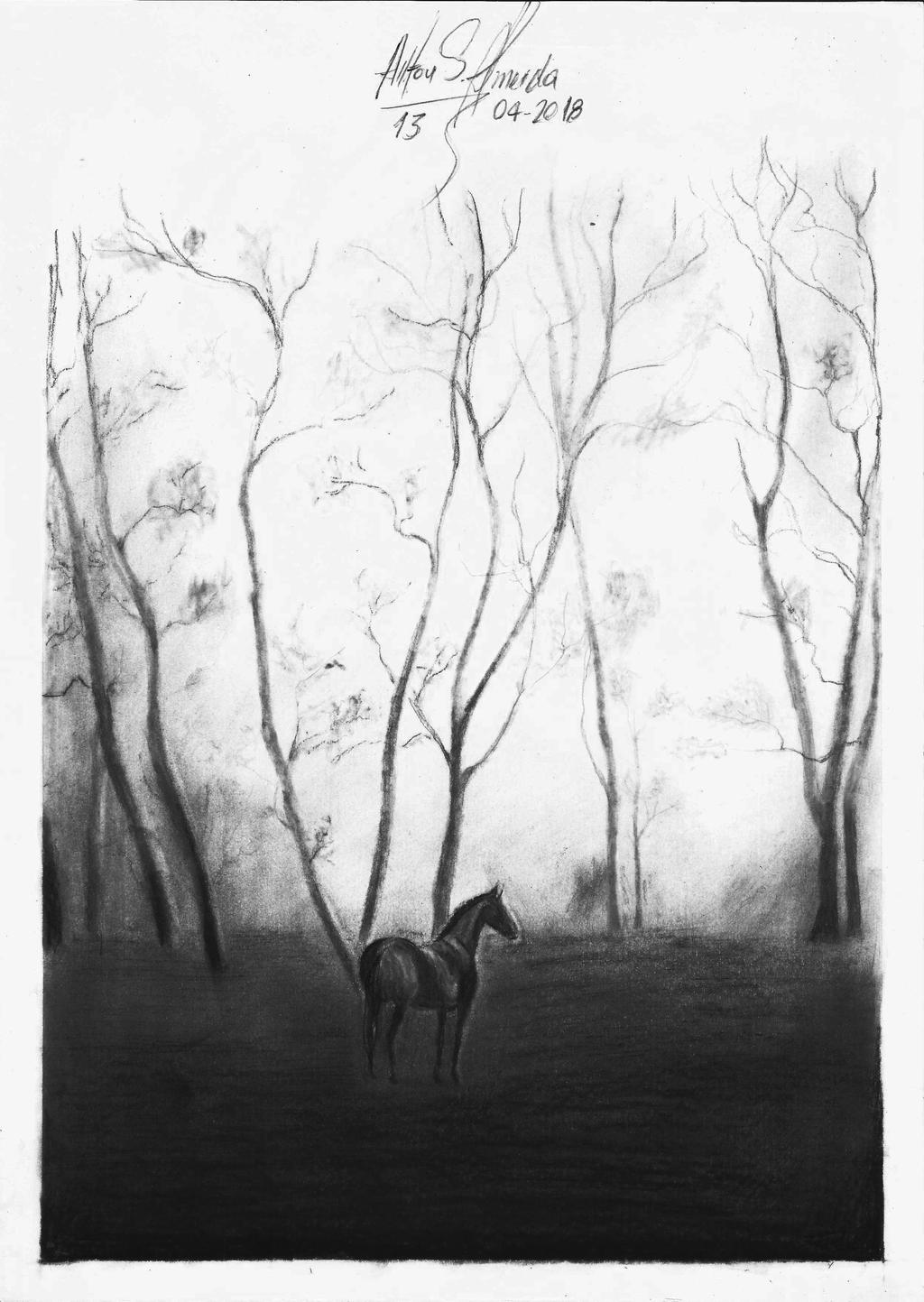 Paisagem e cavalo: desenho a carvo by ailtonalmeidaz on DeviantArt