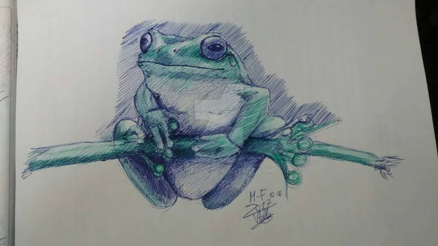 ballpoint pen frog