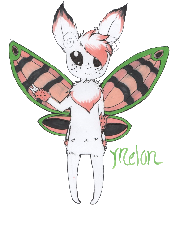 Melon Moth Person Adopt Auction OPEN