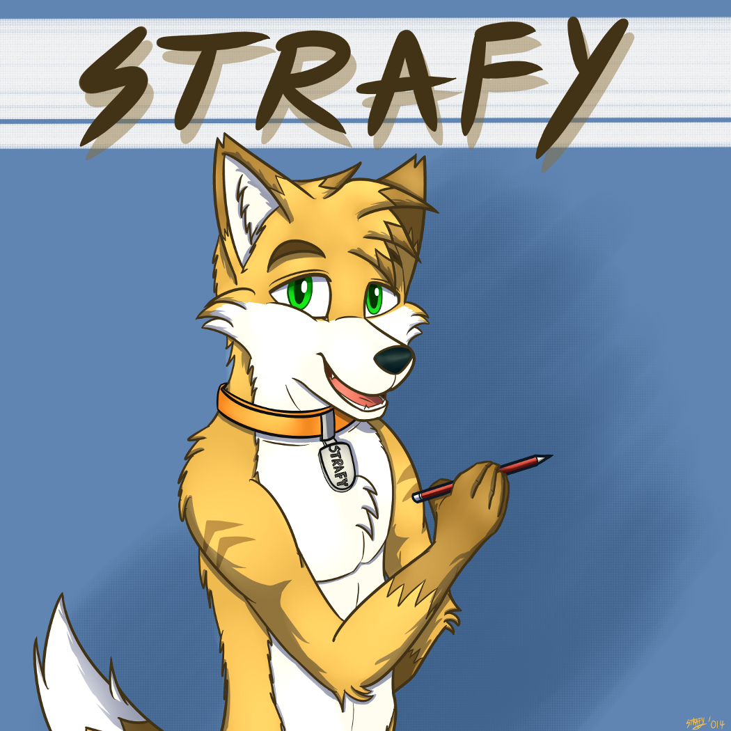 Strafy 2014 ID