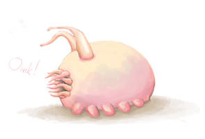 Sea Pig