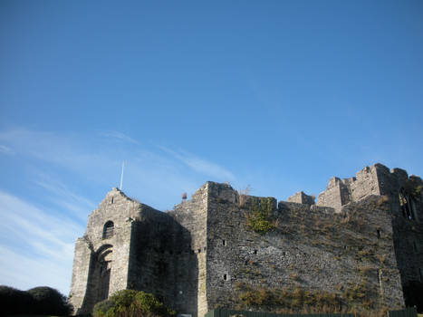 Oystermouth Castle