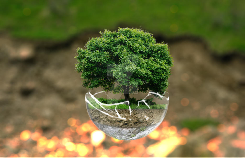 Tree Floating Item Floating tree by NemesisGraphics on DeviantArt