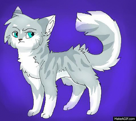 Warrior Cats Mistydream ANIMATED By Wingedwolfflight On DeviantArt warrior-cats-mistydream-animated-by-wingedwolfflight-on-deviantart