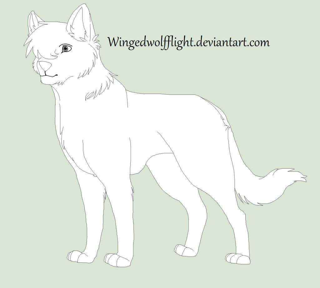 Bases and Linearts by Wingedwolfflight on DeviantArt