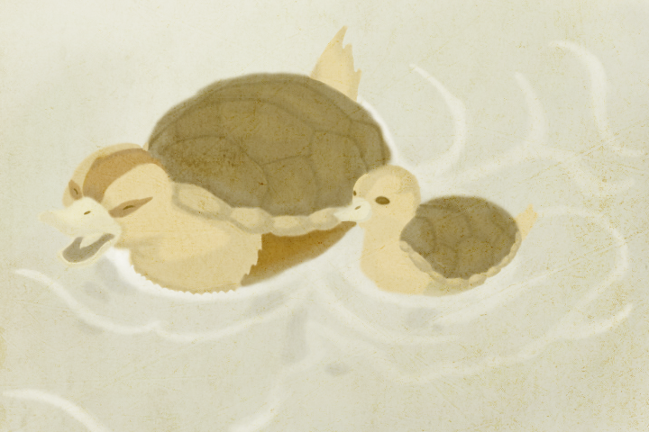 Turtle Duck (Avatar)  Animated Steam Artwork by DryreL on DeviantArt
