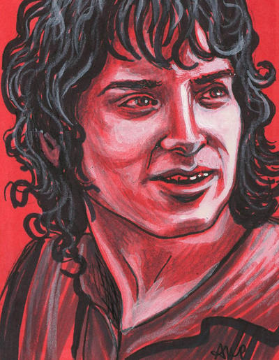 Lord of the Rings - Frodo by AshleighPopplewell on DeviantArt