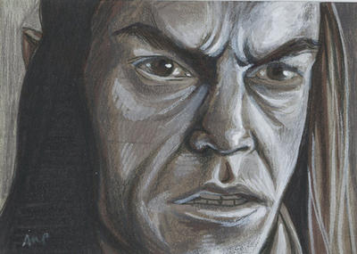 Elron Repaint Lord of the Rings - Elrond 2 by AshleighPopplewell on DeviantArt