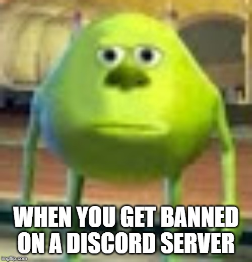 discord #discordserver #meme #memes #server #wiki #wikipedia #fyp