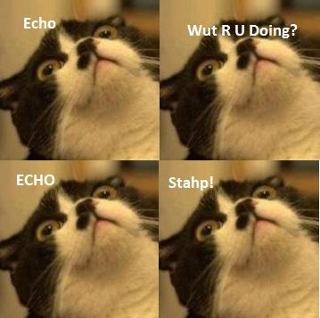 echo wat r u doing