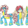 Concept: The New Wonderbolts
