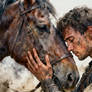 Warrior Horse Portrait