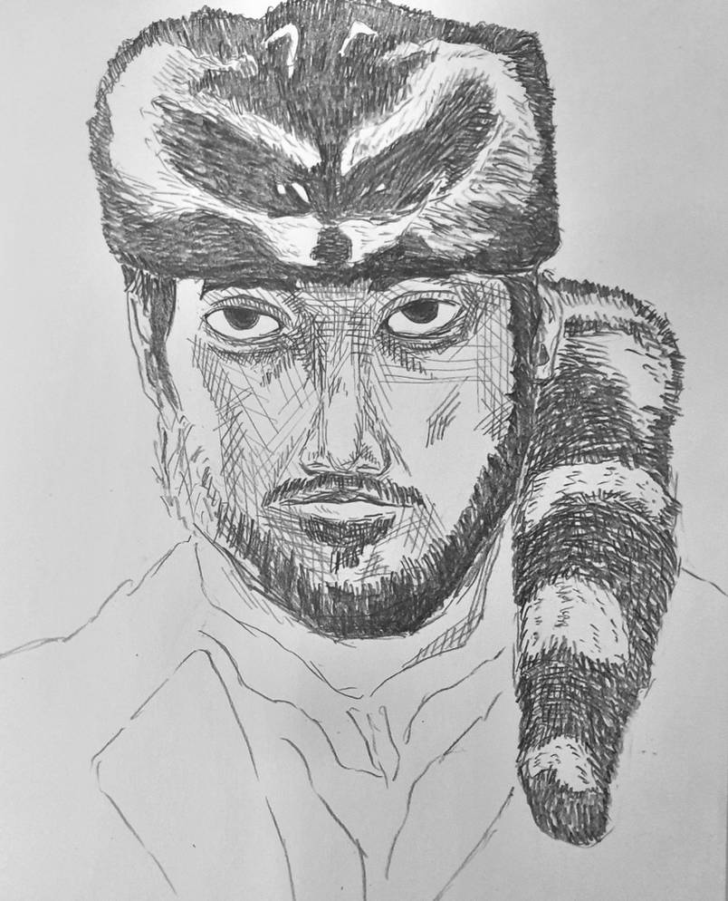 Canadian Raccoon Man Raccoon Man by LEE0908 on DeviantArt