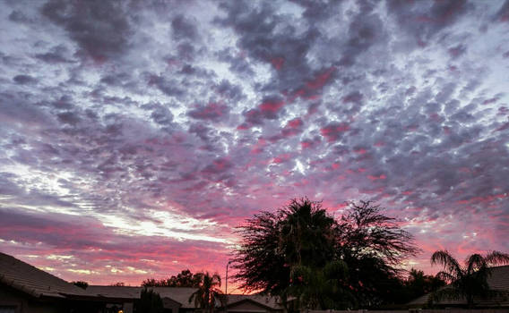 Arizona sunset