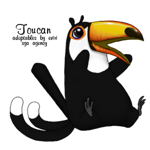 Toco Toucan