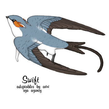 Gray-Rumped Treeswift