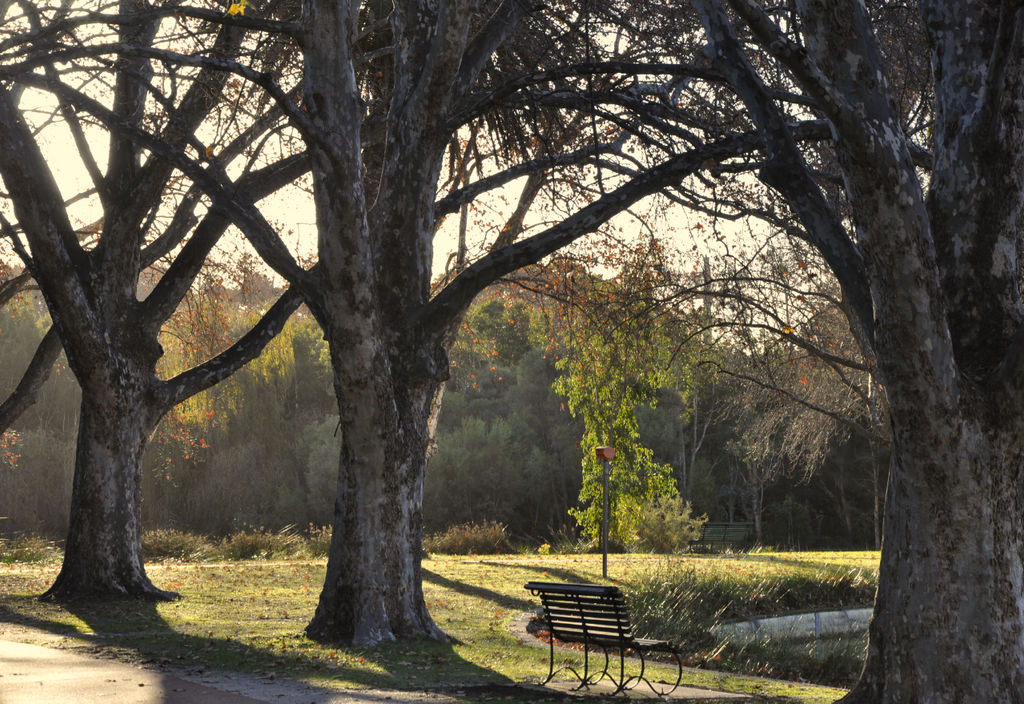 Hyde Park- A Stroll by Gadrinora Hyde Park- A Stroll by Gadrinora