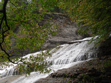 Looking to the Falling Water