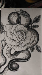 Snake and the Rose