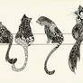 Zentangle Cats