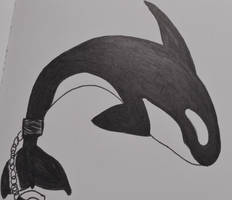 Micron Orca drawing