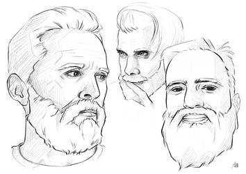 Beard Studies