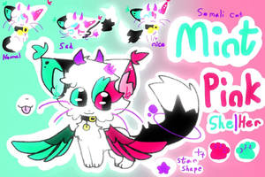 (NEW) Mint Pink reference sheet