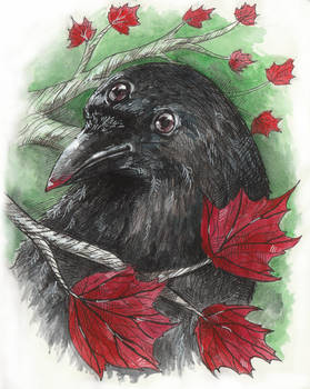 Three-eyed crow