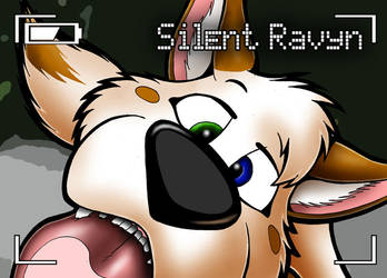 Nose-Up badge: Silent Ravyn