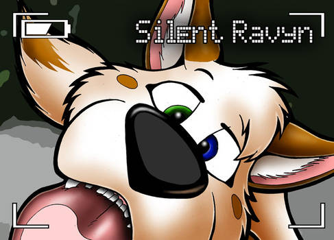 Nose-Up badge: Silent Ravyn