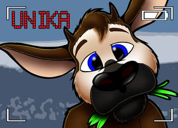 Nose-Up badge: Unika