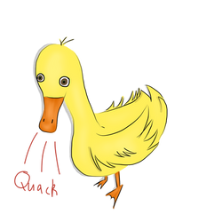 Duck