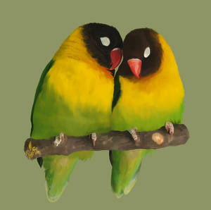 Two Love Birds