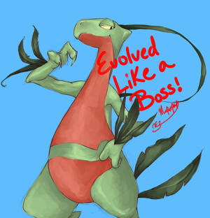 My boss grovyle