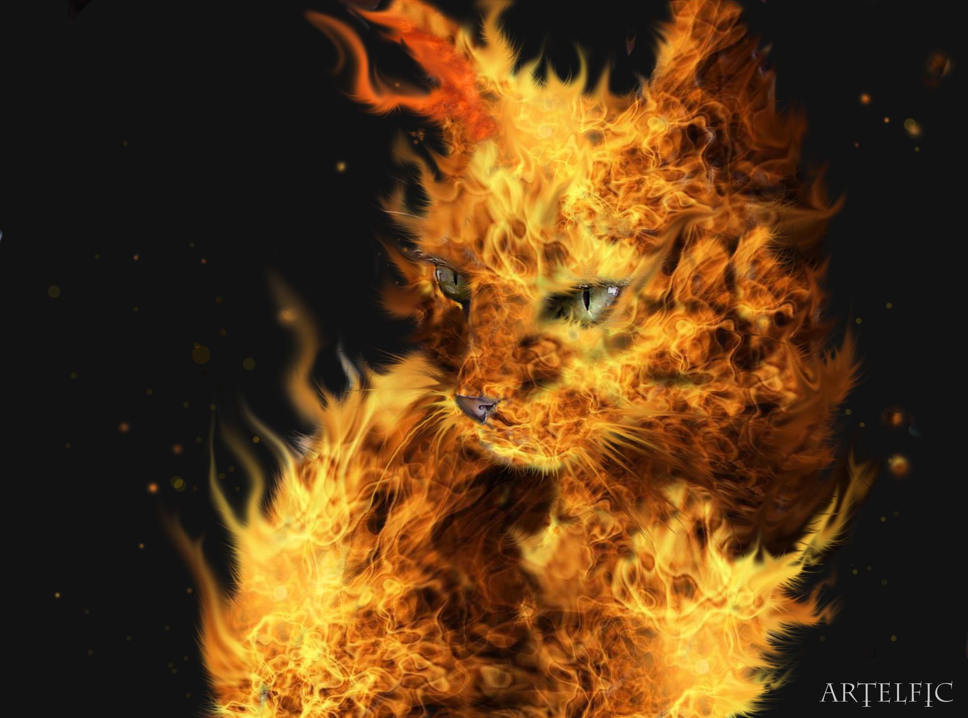 Fire cat