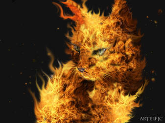 Fire cat