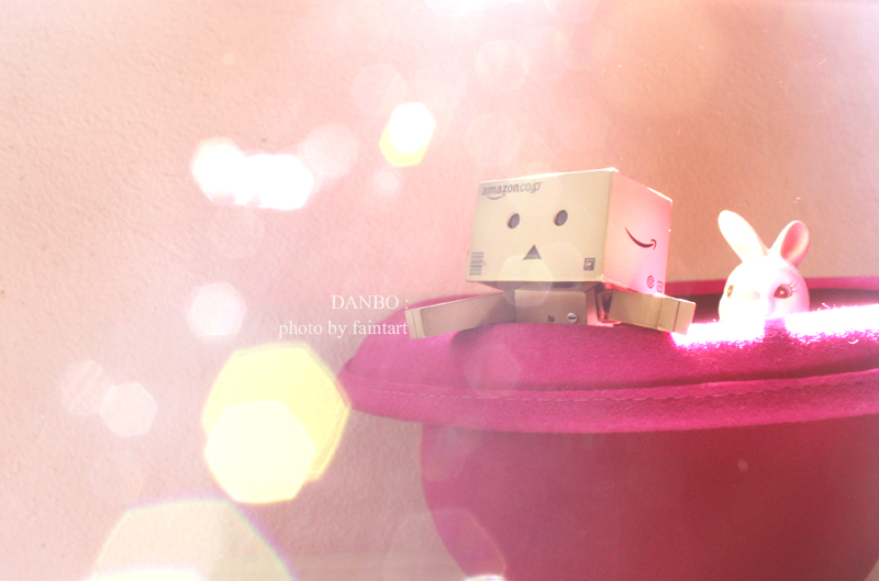 Danbo_me