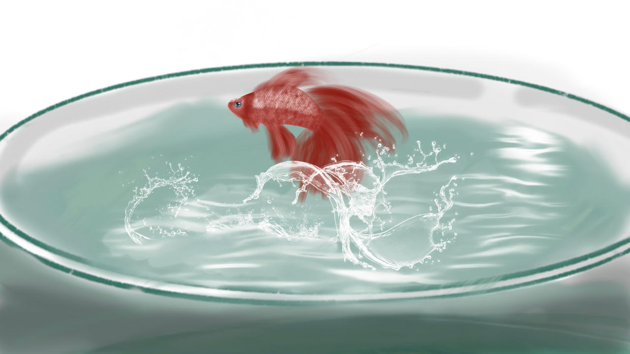 Jumping fish procreate dreams panel by FadingSketches9 on DeviantArt