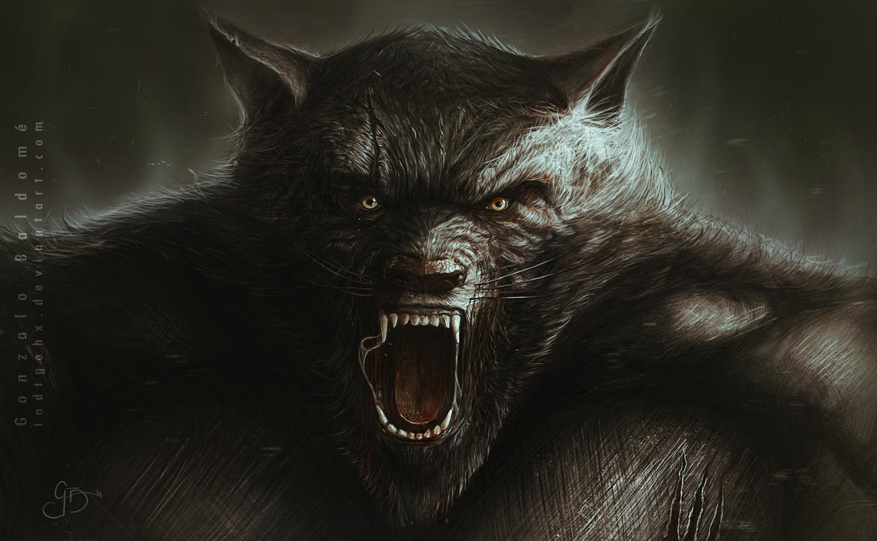 Amarok By Indigohx On DeviantArt amarok-by-indigohx-on-deviantart