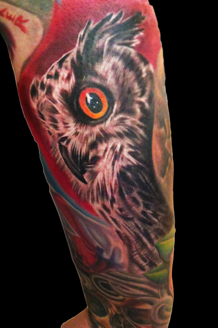 owl