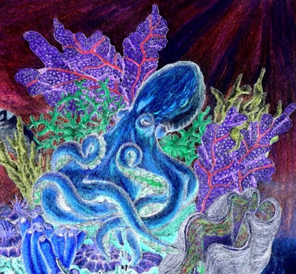 The Octopus Negative by Erica-E-Ravenwood on DeviantArt