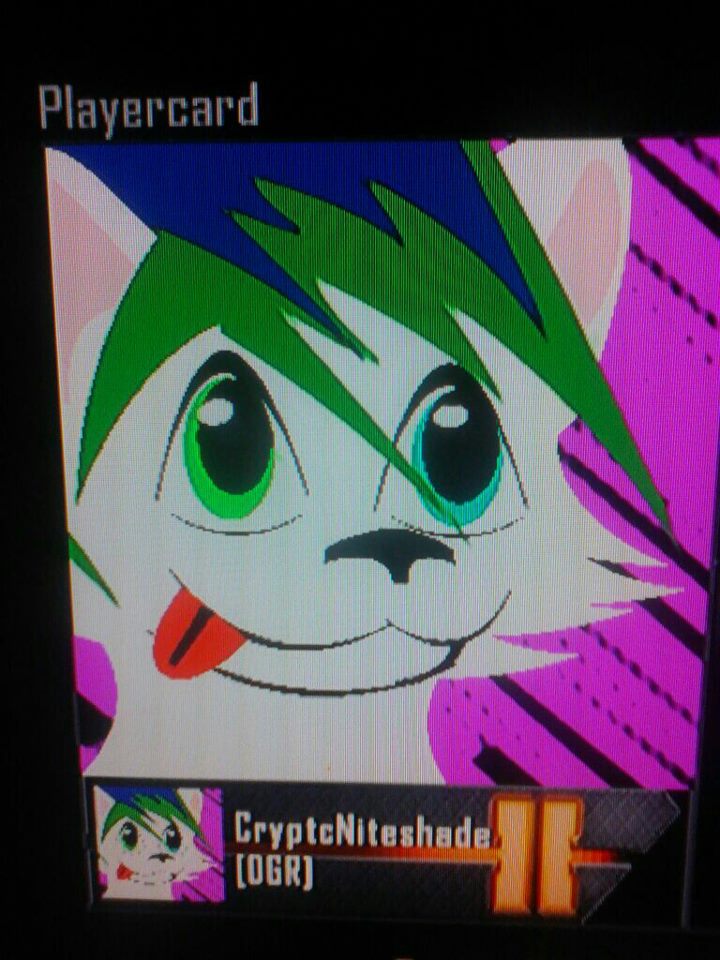 My CoD Bo2 Emblem