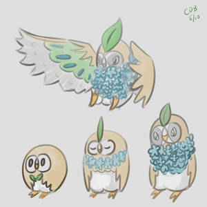 Possible Rowlet Evolutions