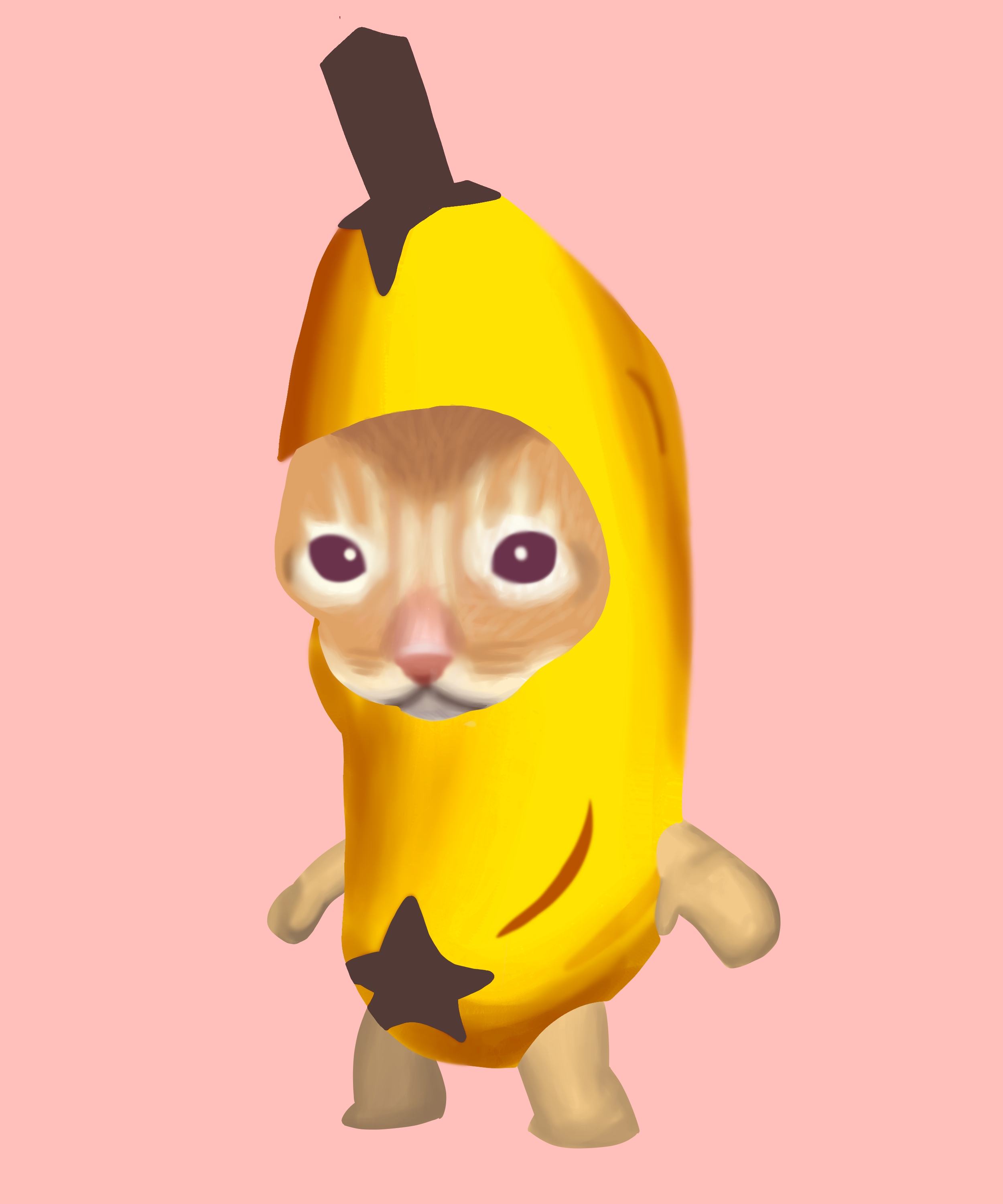 Банан плачет мем. Котенок в костюме банана. Котёнок в костюме бонана. Банный кот. Кот в ба6ане.