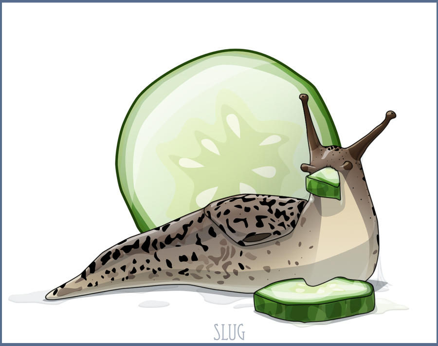 Chewing Slug by cresqlavicy on DeviantArt