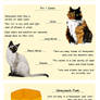 Honeycomb Cat Info Sheet - (REMADE) Pt. 2