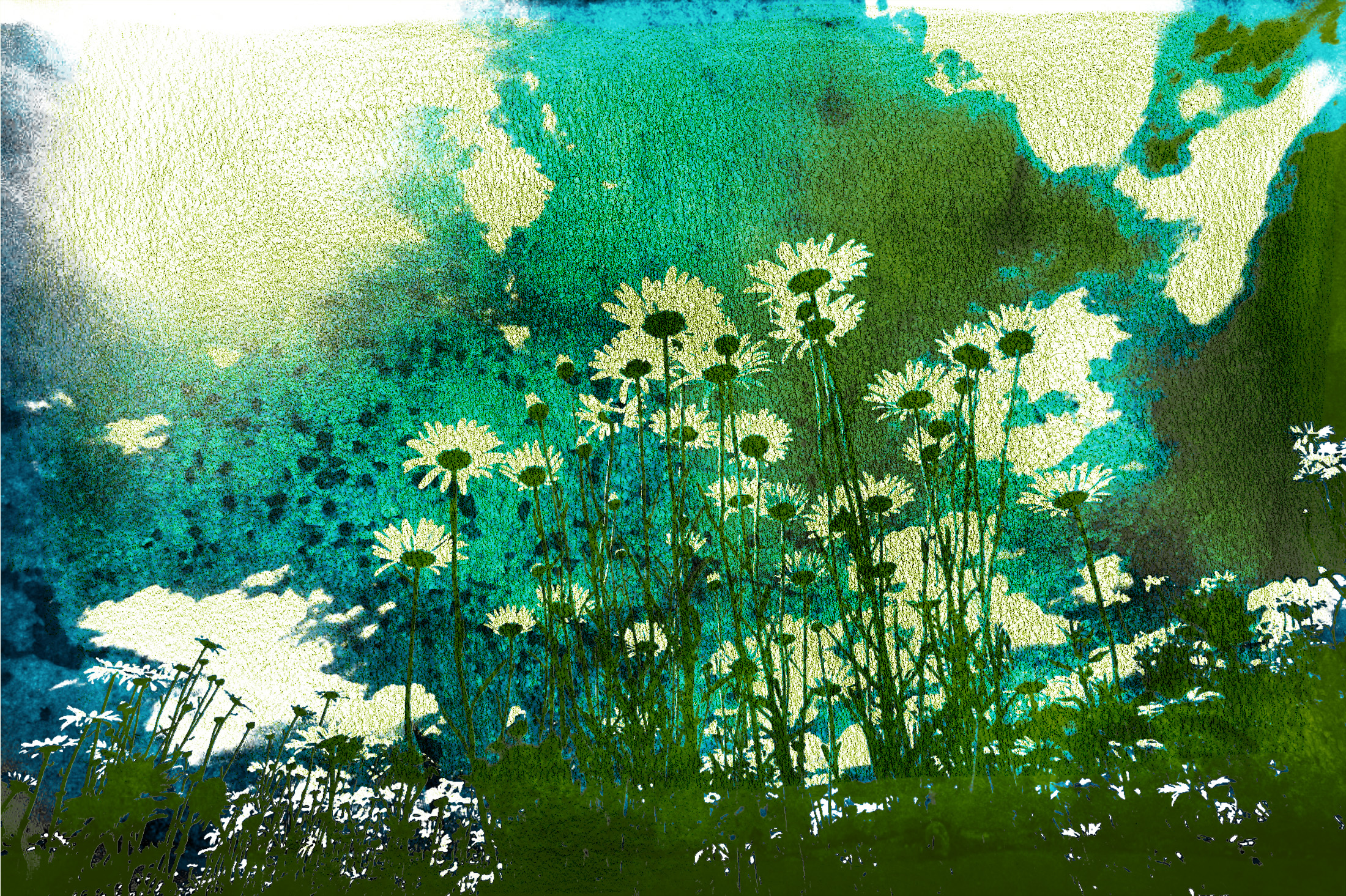 Grunge Flower Field