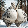 Soft Snow Leopard