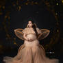 Maternity Photography in Noida